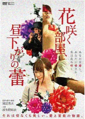 都市律政剧潮汐法庭剧集封面